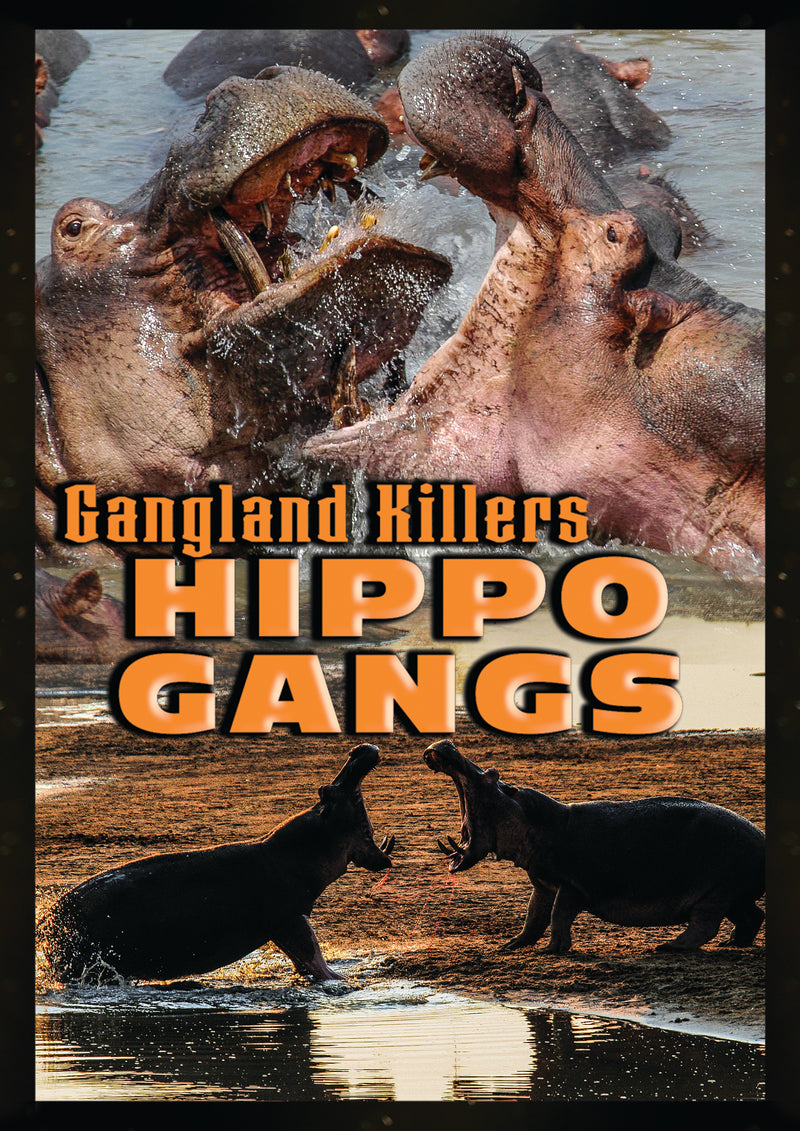 Gangland Killers: Hippo Gangs (DVD)