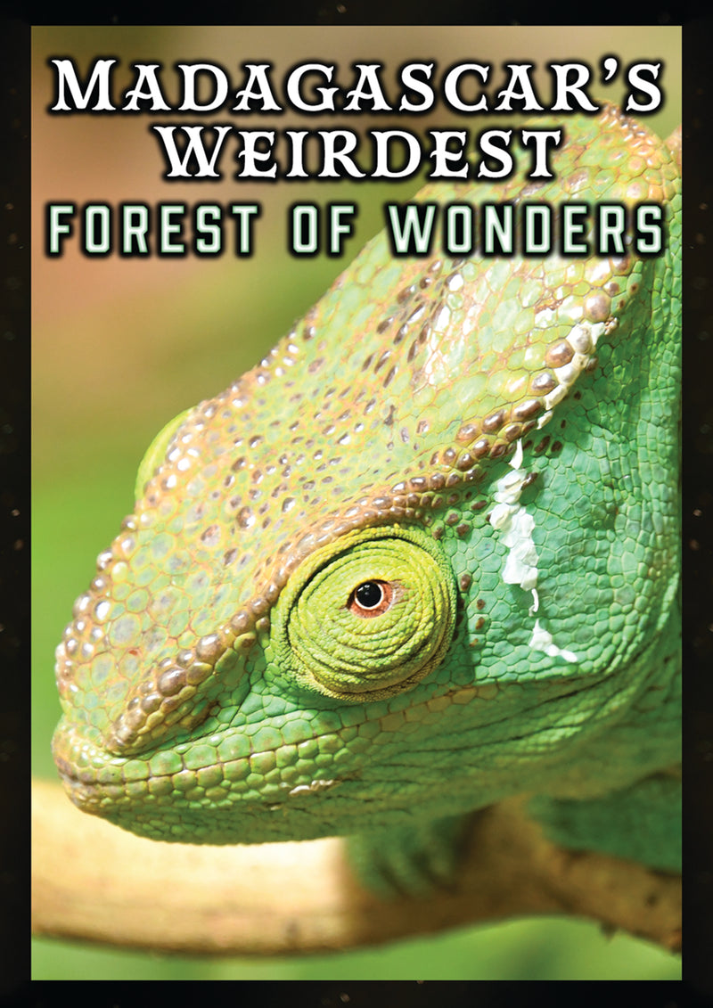 Madagascar's Weirdest: Forests Of Wonders (DVD)
