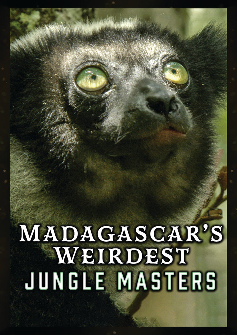 Madagascar's Weirdest: Jungle Masters (DVD)