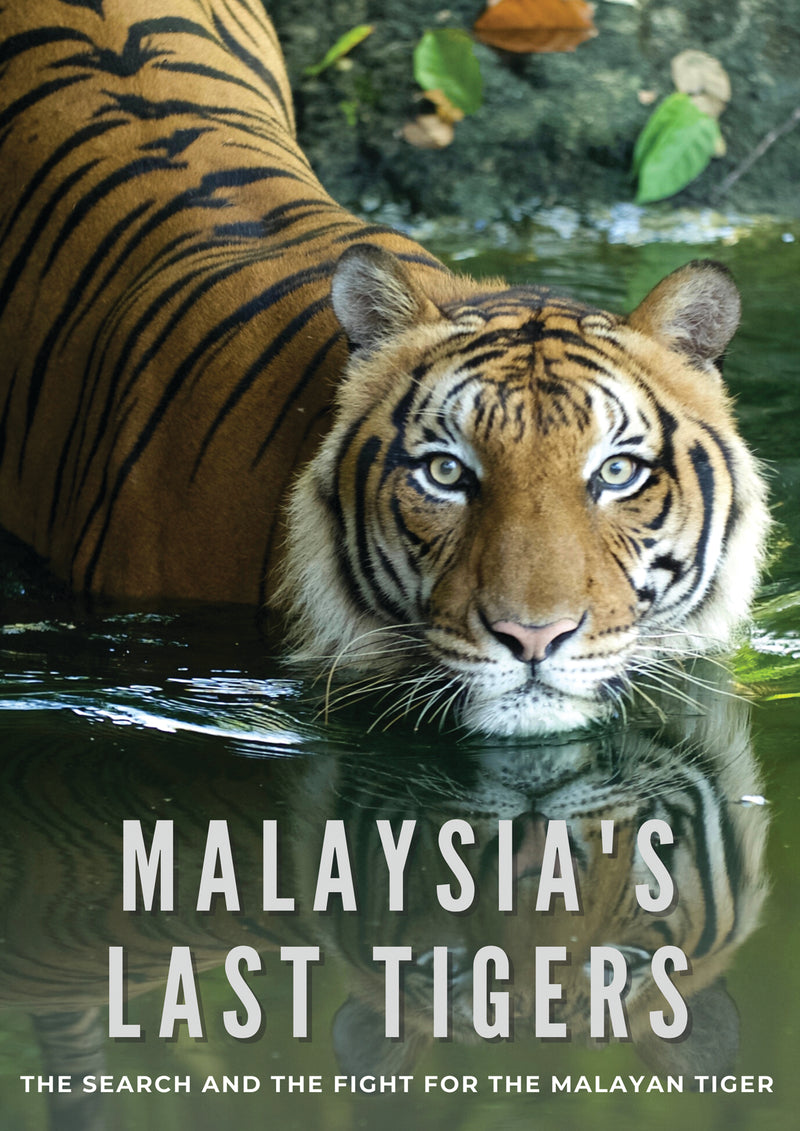 Malaysia's Last Tigers (DVD)