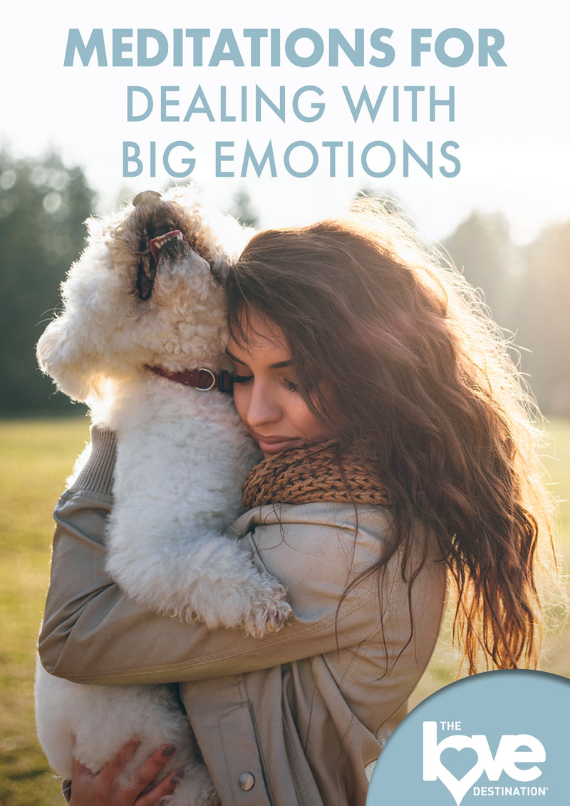 The Love Destination Courses: Meditations For Dealing With Big Emotions (DVD)