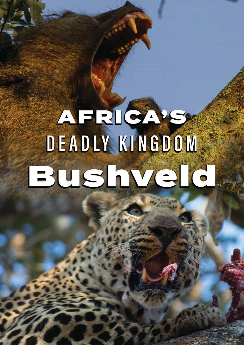 Africa's Deadly Kingdom: Bushveld (DVD)