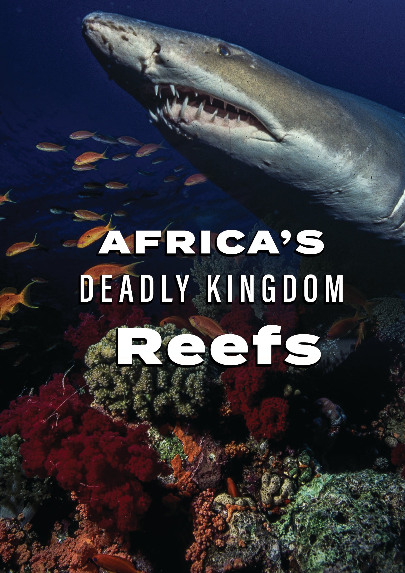 Africa's Deadly Kingdom: Reefs (DVD)