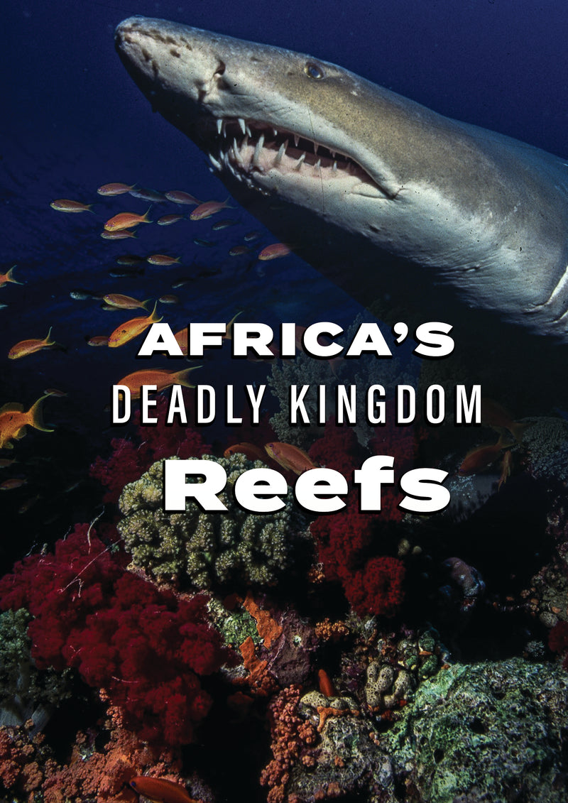 Africa's Deadly Kingdom: Reefs (DVD)