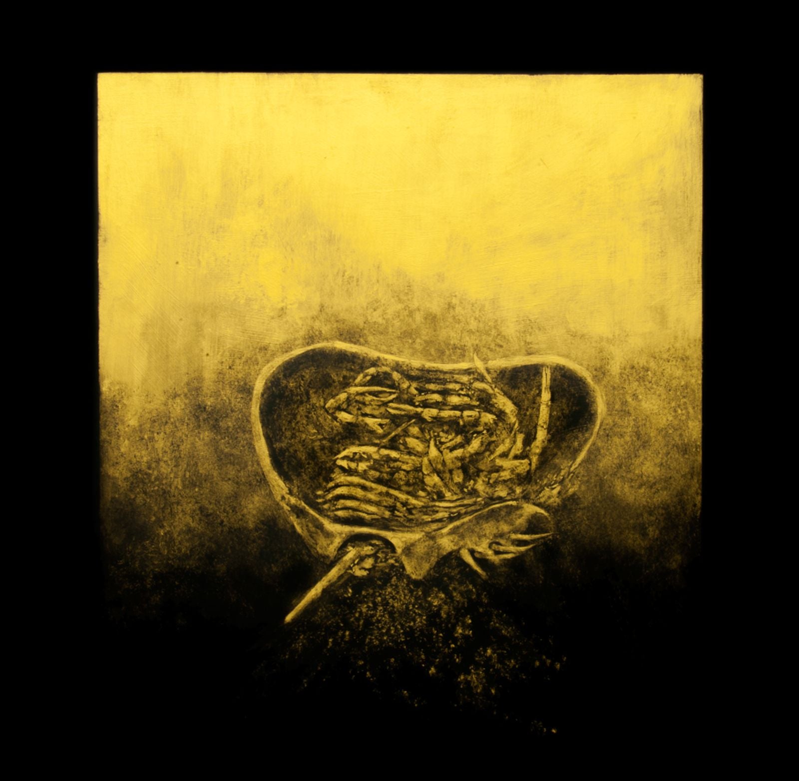 Luna Honey - Ballast (LP)