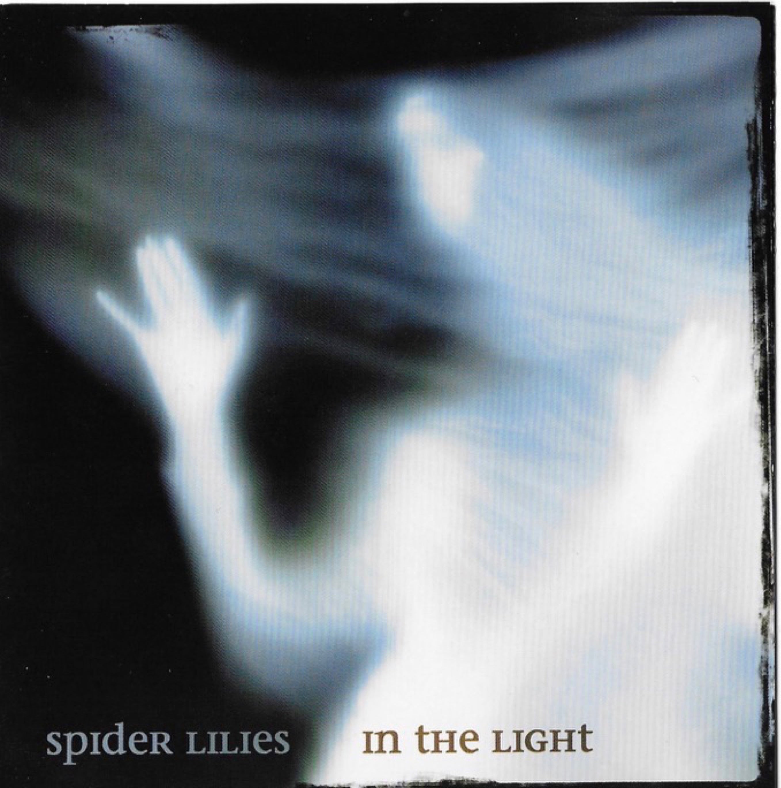 Spider Lilies - In The Light (CD)