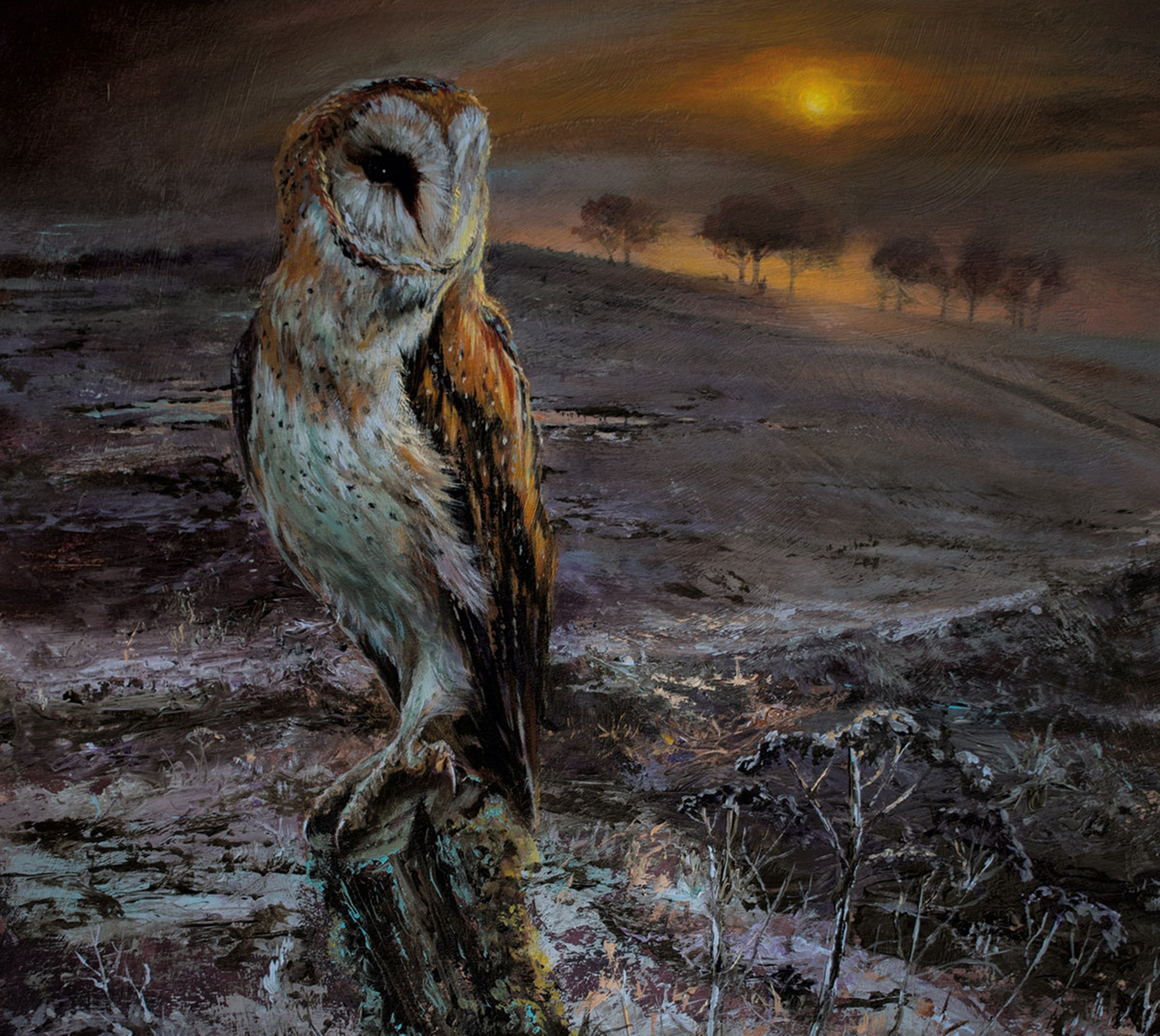 A Flock Named Murder - An Appointed Time (CD)