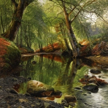 Raat - Celestial Woods (CD)