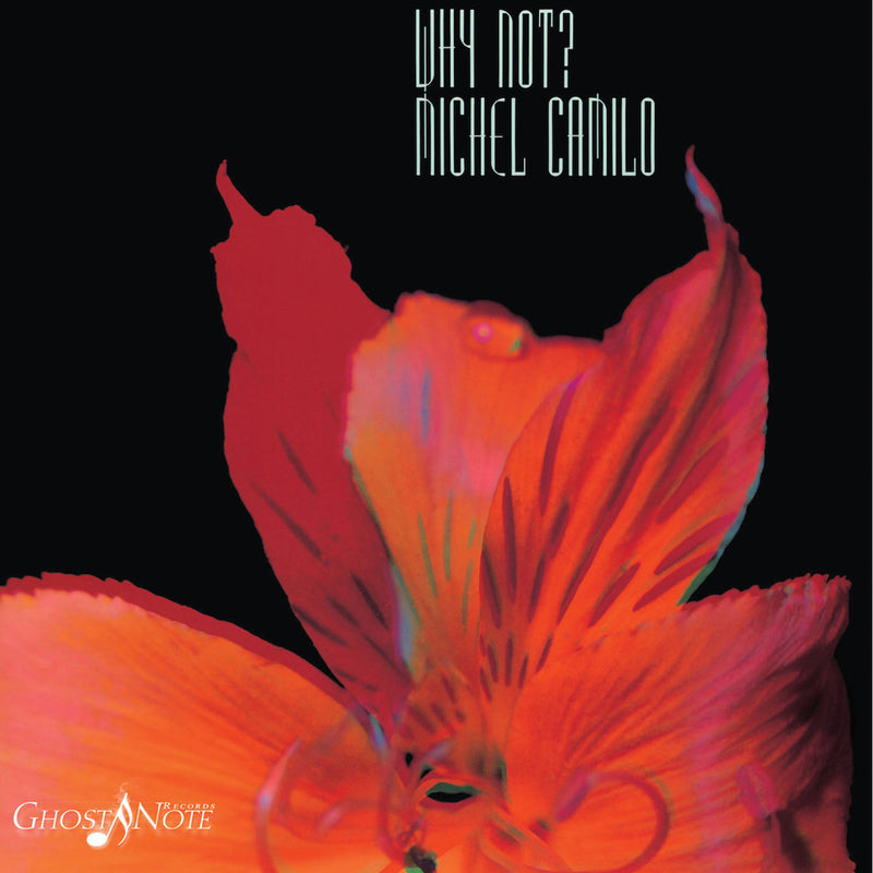 Michel Camilo - Why Not (LP)