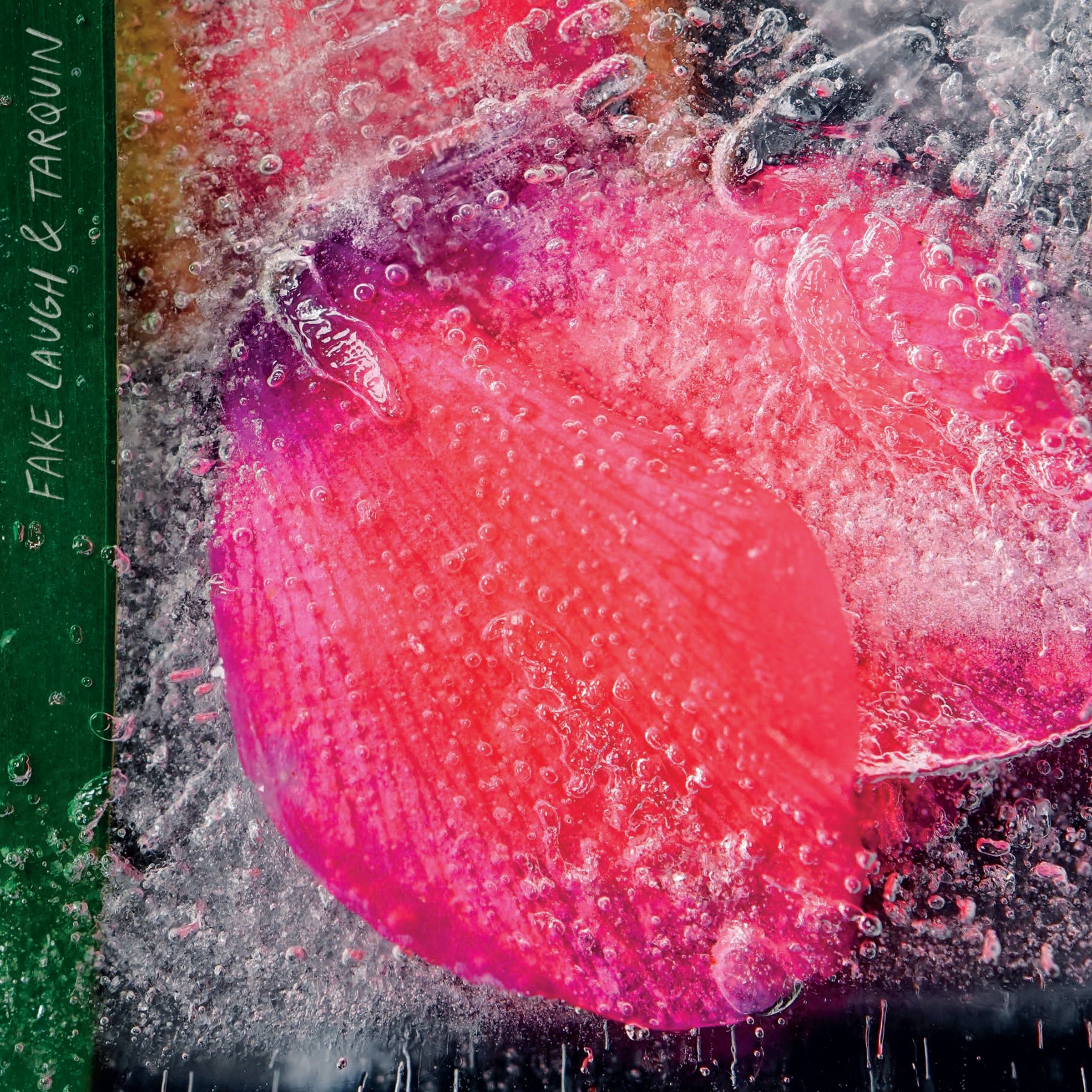 Fake Laugh & Tarquin - Fake Laugh & Tarquin (LP)