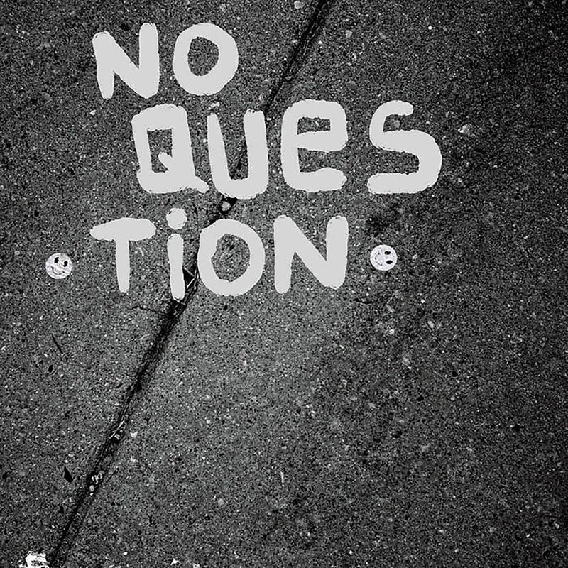 No Question - S/T (7 INCH)