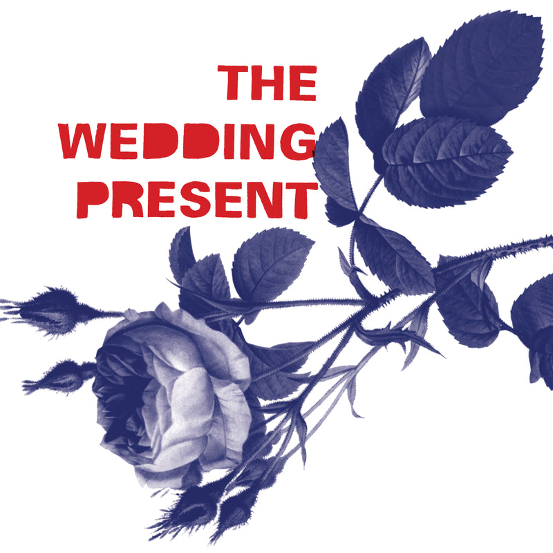 The Wedding Present - Tommy 30 (CD)
