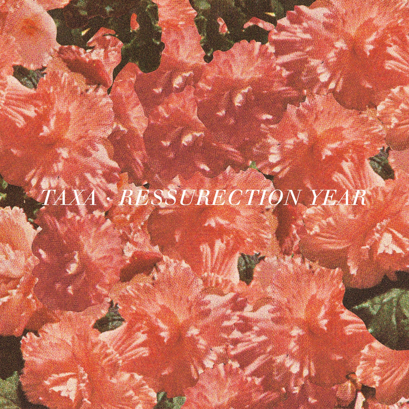 Taxa - Resurrection Year (7 INCH)