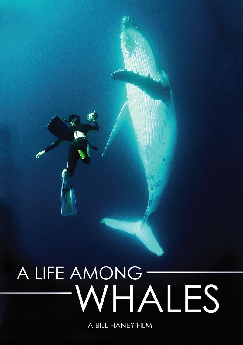 A Life Among Whales (DVD)