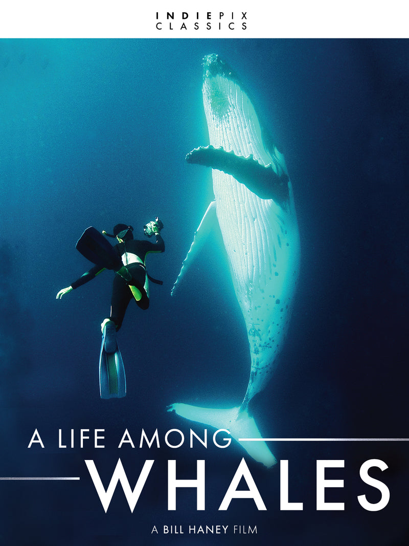 A Life Among Whales (Indiepix Classics) (DVD)