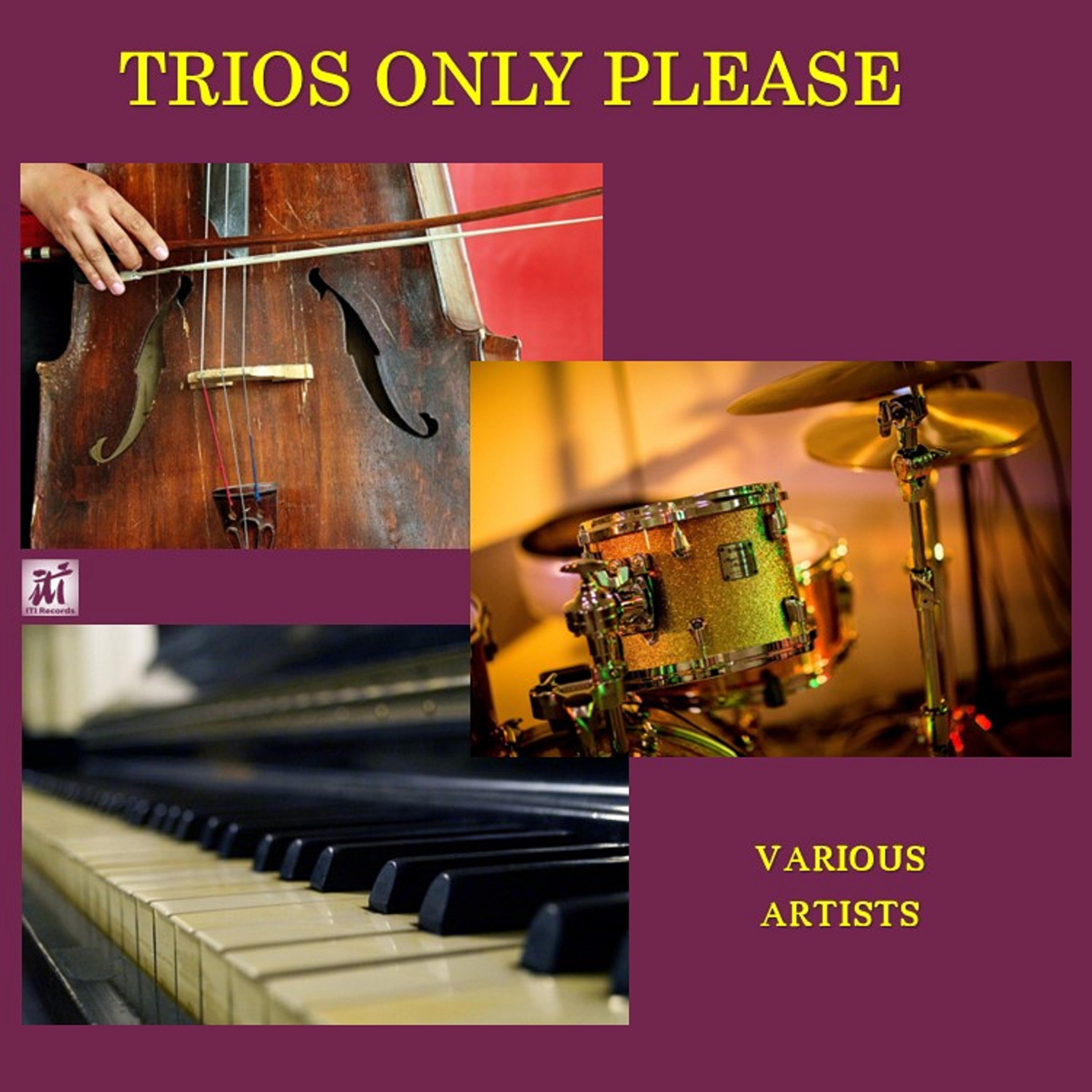 Trios Only Please (CD)