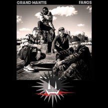 Grand Mantis - Fangs (CASSETTE)