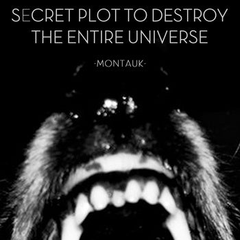 Secret Plot To Destroy The Entire Universe - Montauk Ep (7 INCH)