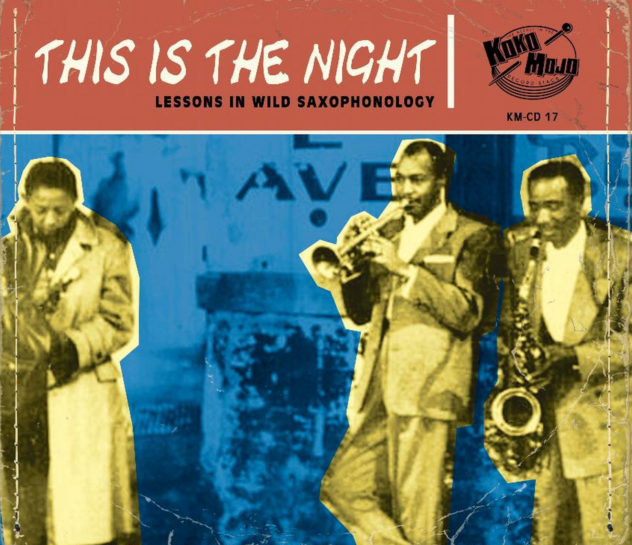 This Is The Night: Lessons In Wild Saxophonology (CD)