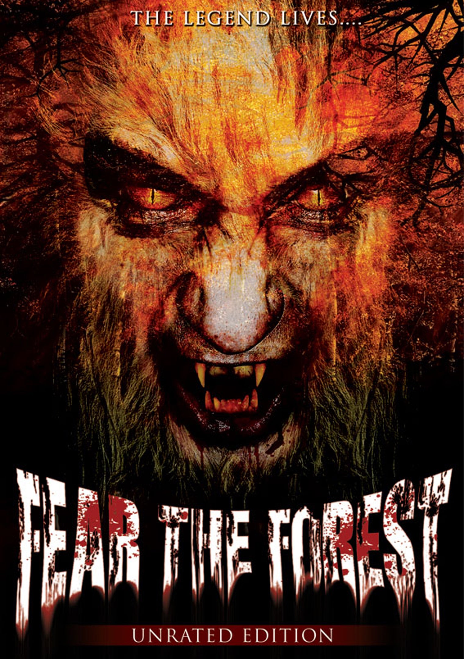 Fear The Forest (DVD)