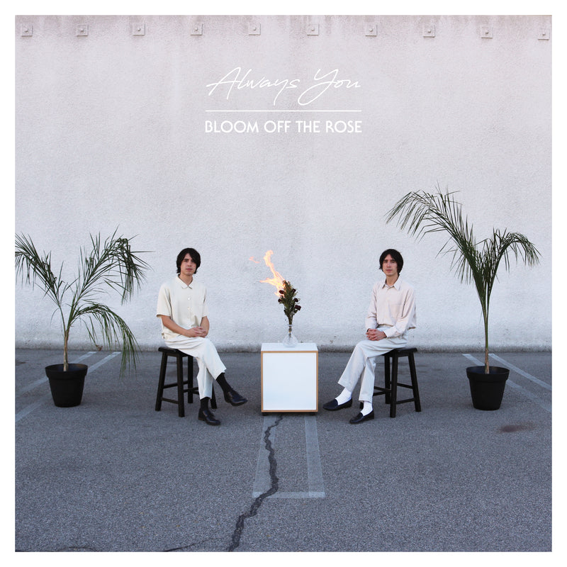 Always You - Bloom Off The Rose (LP)