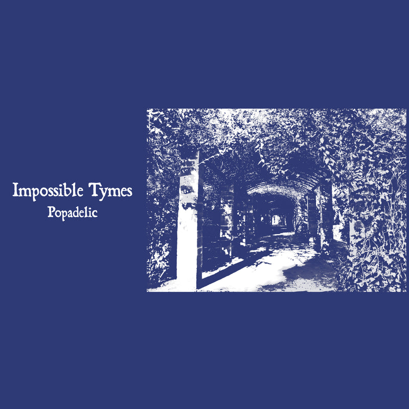 Impossible Tymes - Popadelic (LP)