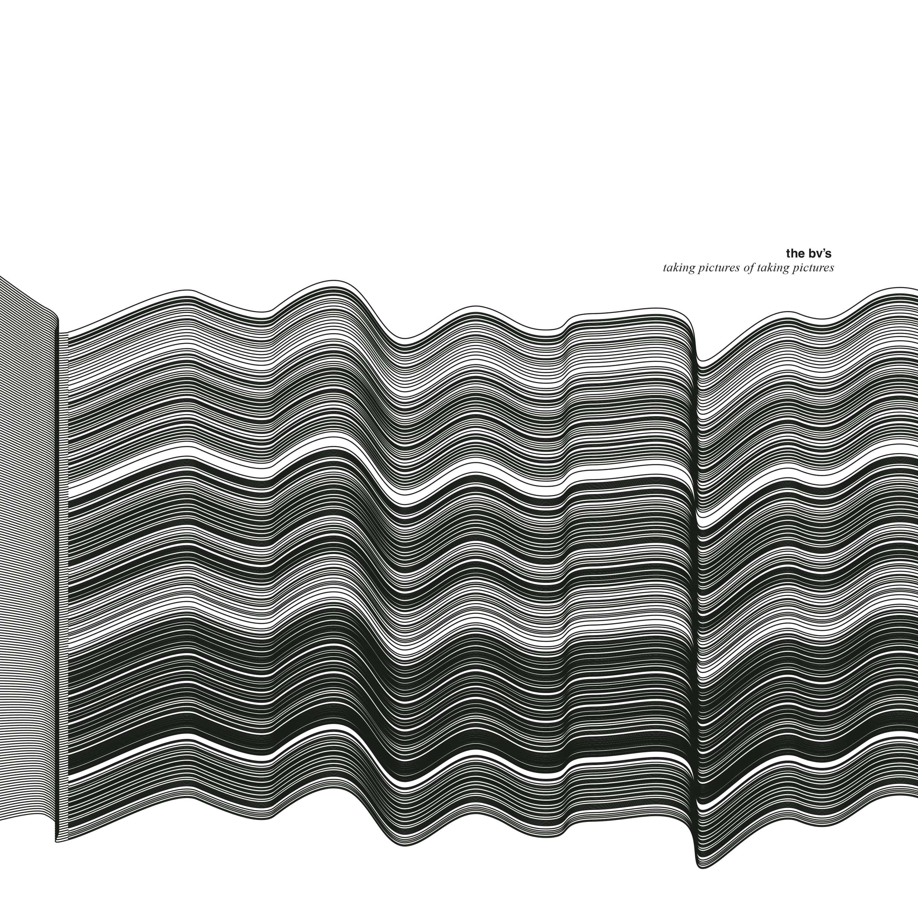The BV's - Taking Pictures Of Taking Pictures (LP)