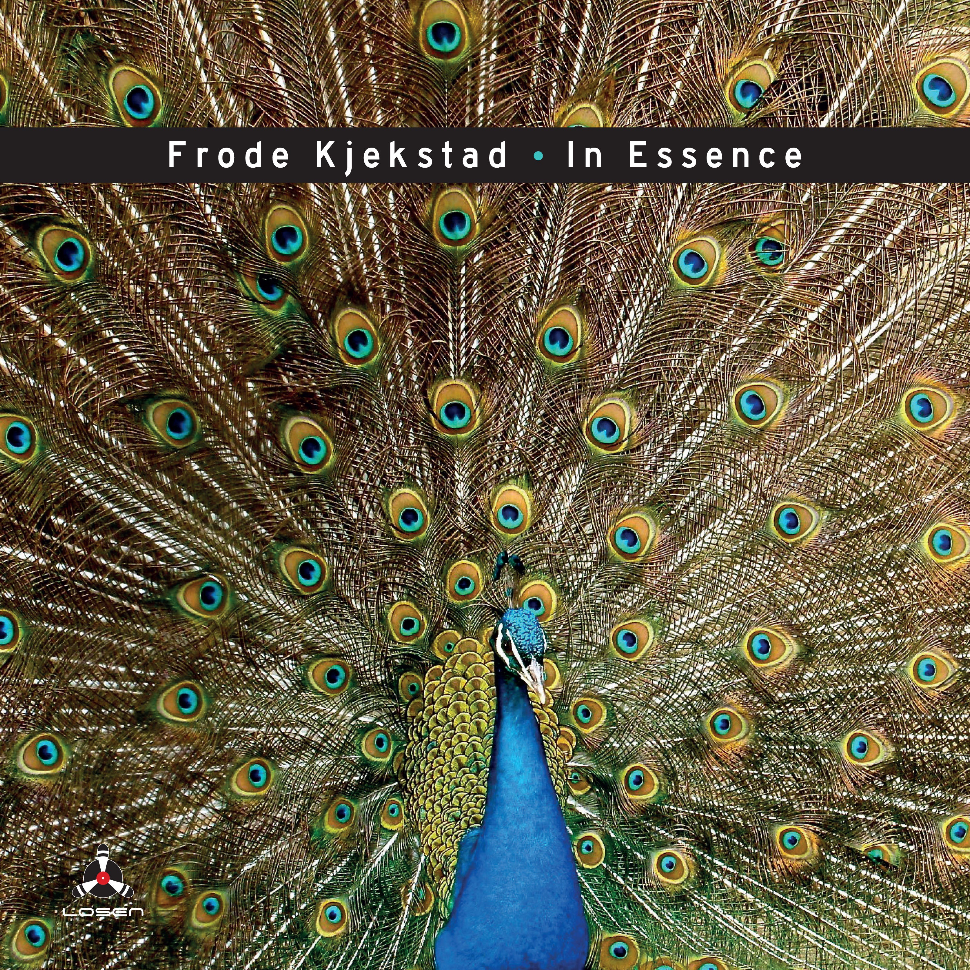 Frode Kjekstad - In Essence (CD)