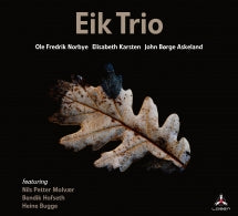 Eik Trio - Trust (CD)