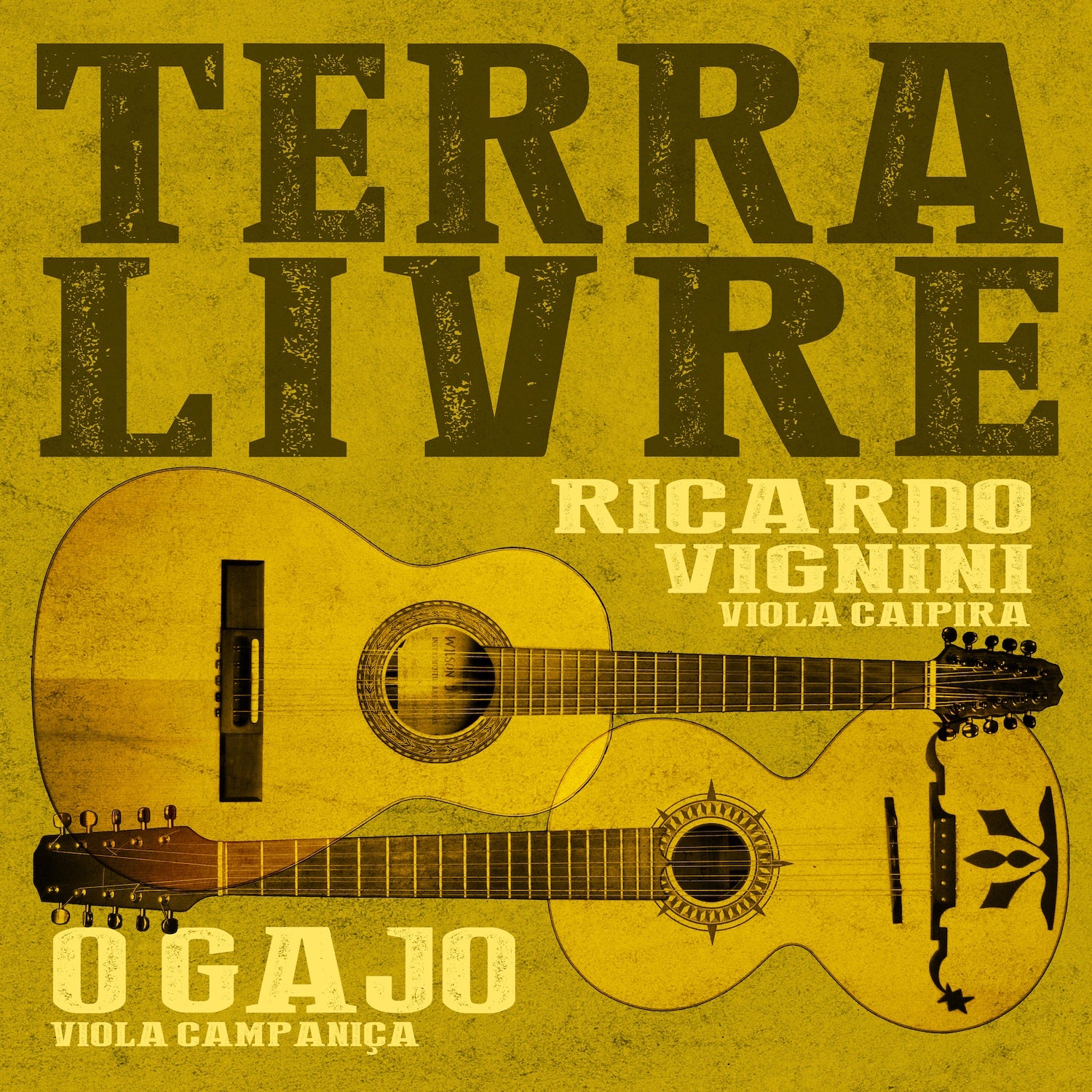 Ricardo Vignini & O GAJO  - Terra Livre (LP)