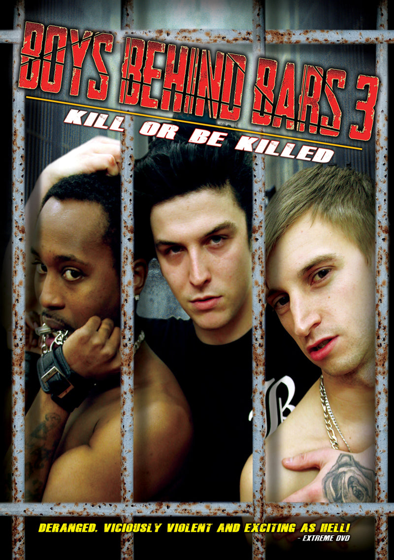 Boys Behind Bars 3 (DVD)