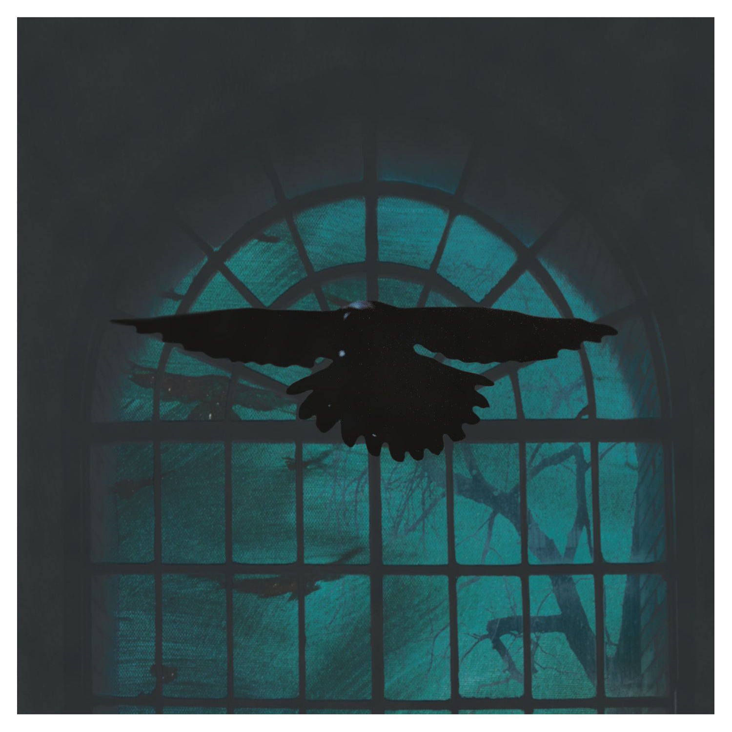 Kruk - It Will Not Come Back (CD/DVD)