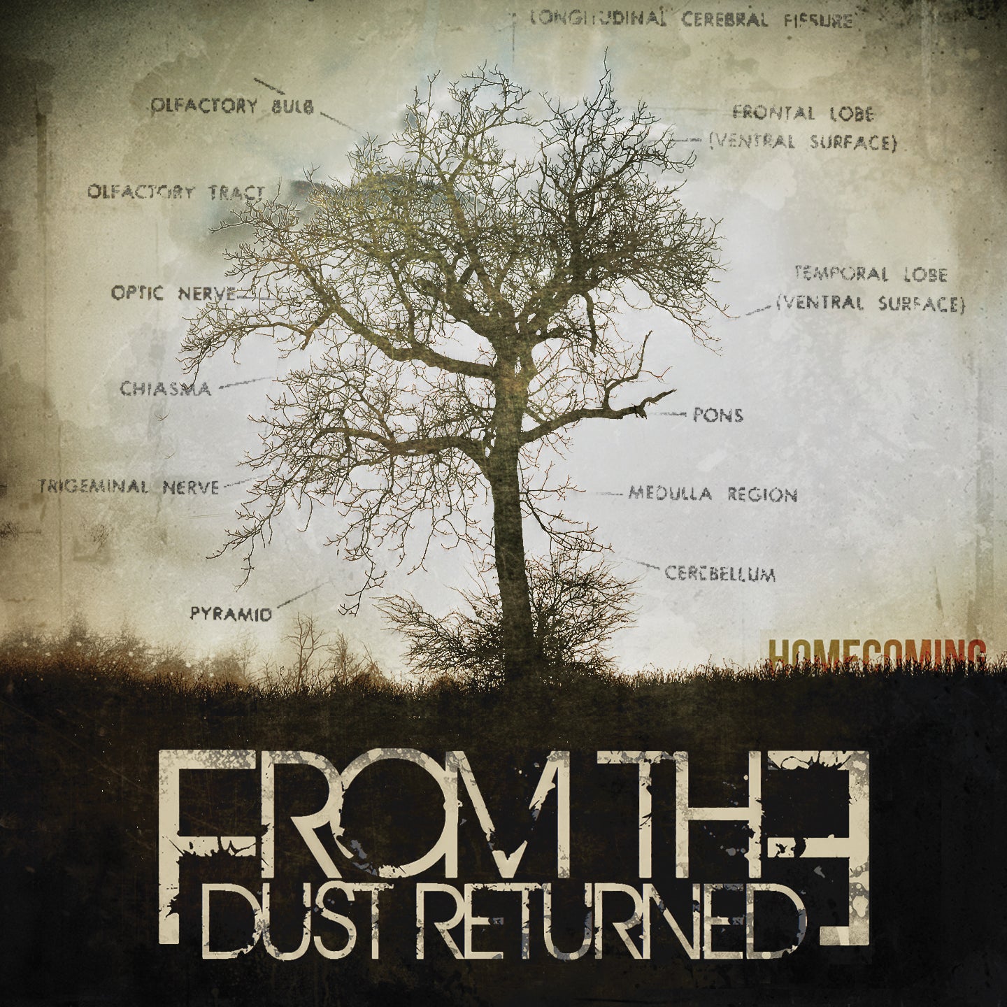 From The Dust Returned - Homecoming (CD)