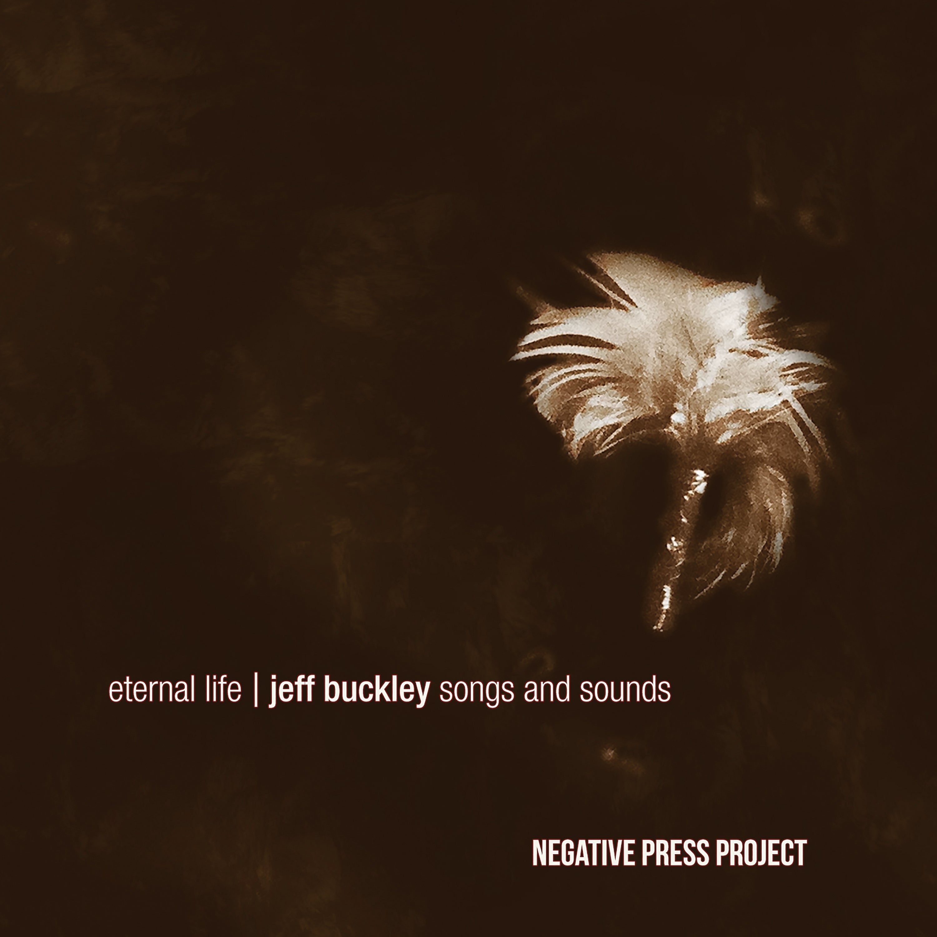 Negative Press Project - Eternal Life: Jeff Buckley Songs And Sounds (CD)