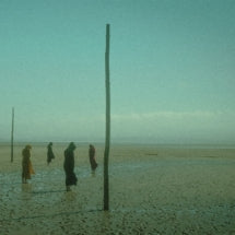 Devil's Witches - In All Her Forms (CD)