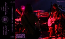 Sementales Salvajes - Live 2022 (CASSETTE)