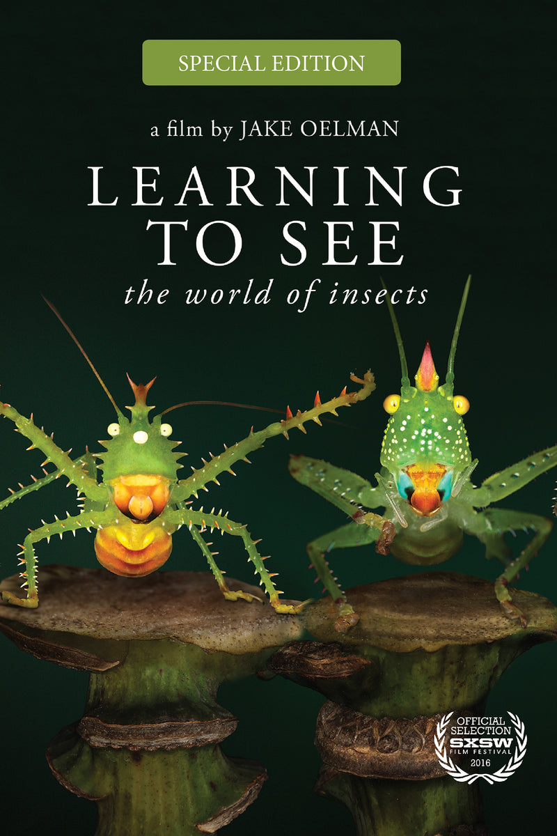 Learning To See: The World Of Insects Special Edition (DVD)