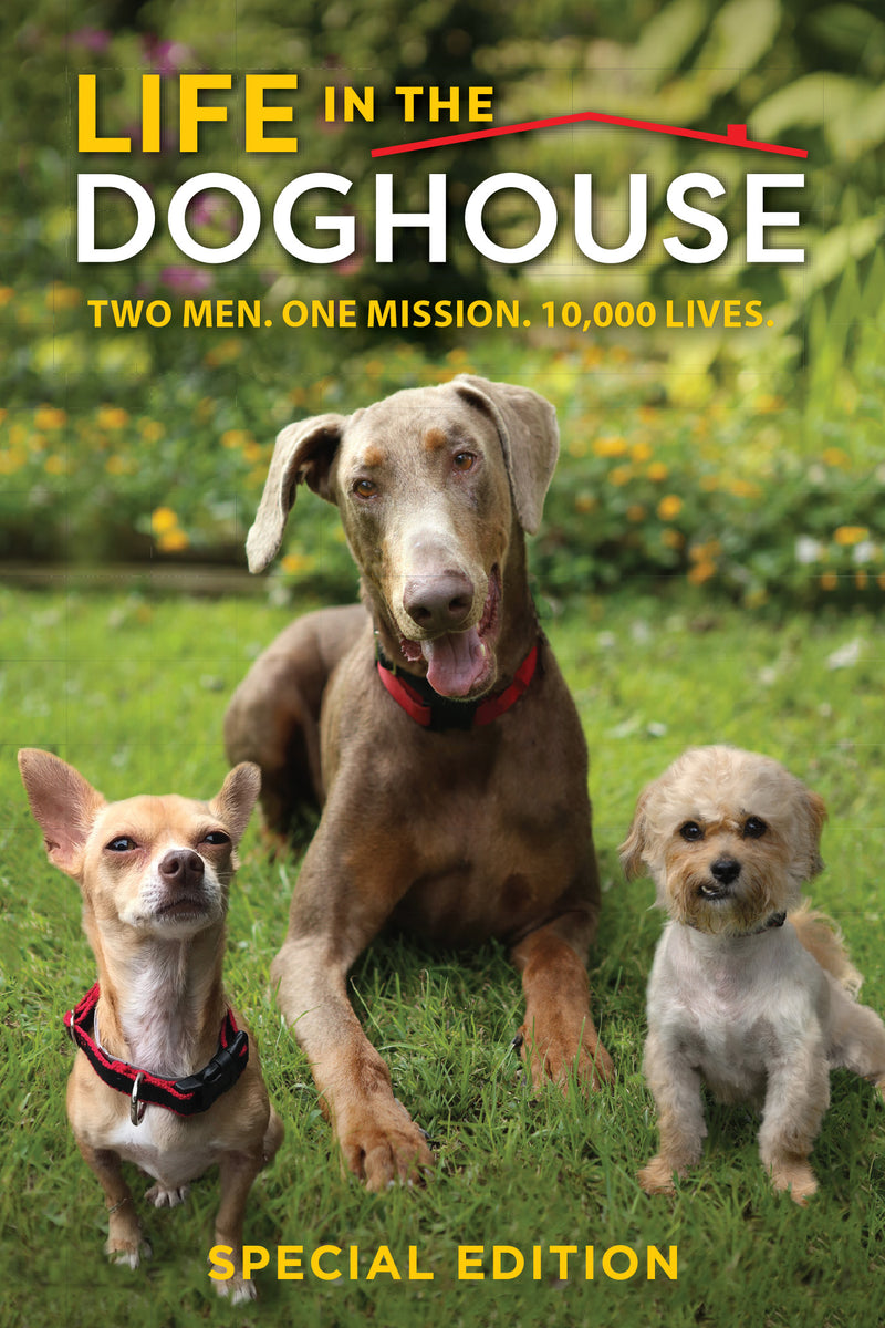 Life In The Doghouse (Special Edition) (DVD)