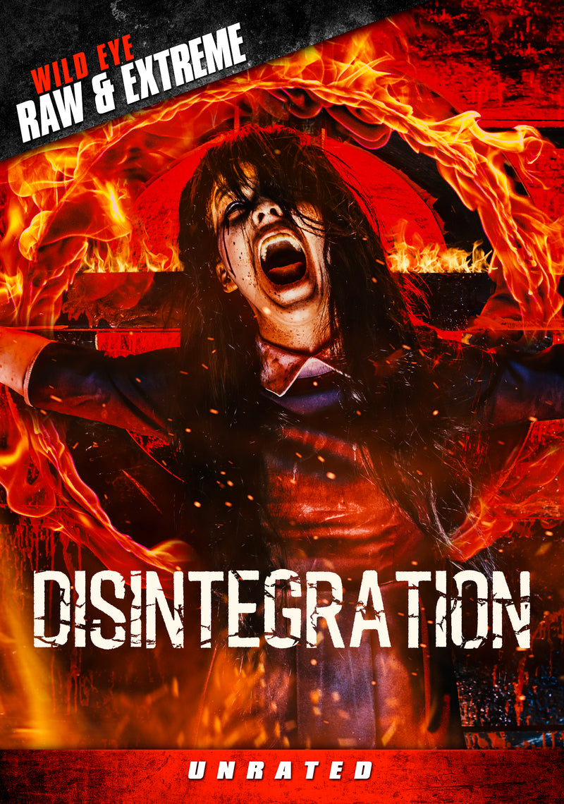 Disintegration (DVD)
