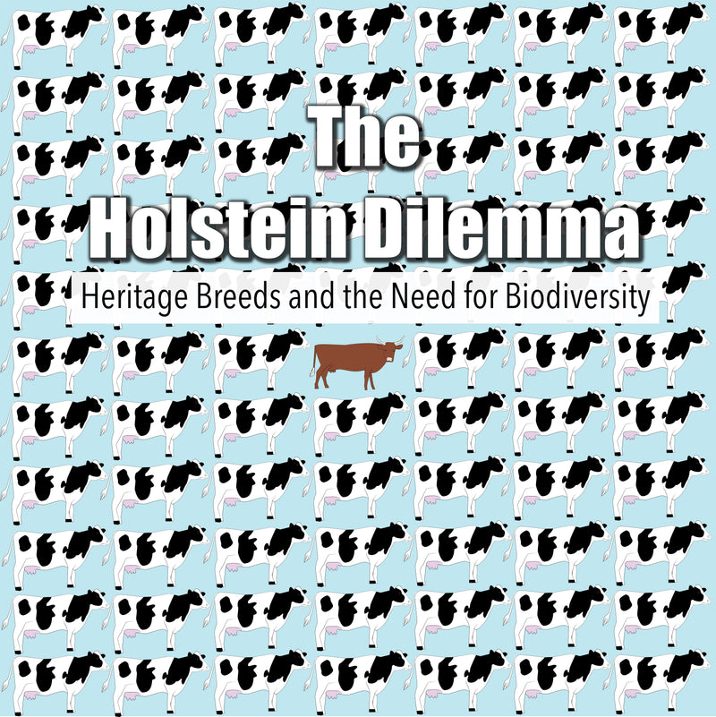 The Holstein Dilemma (DVD)