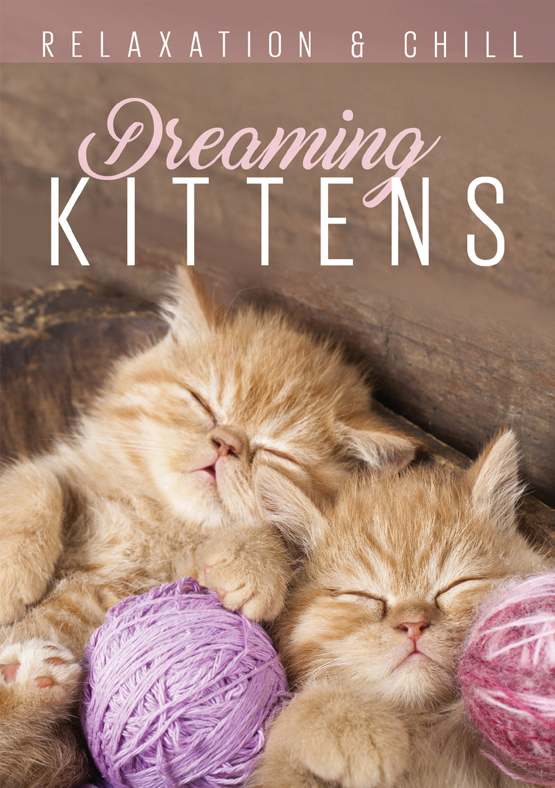 Relax: Dreaming Kittens (DVD)