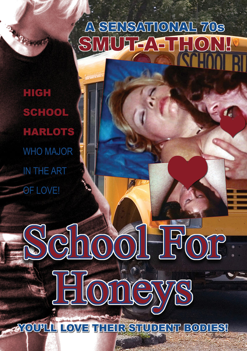 School For Honeys (DVD)