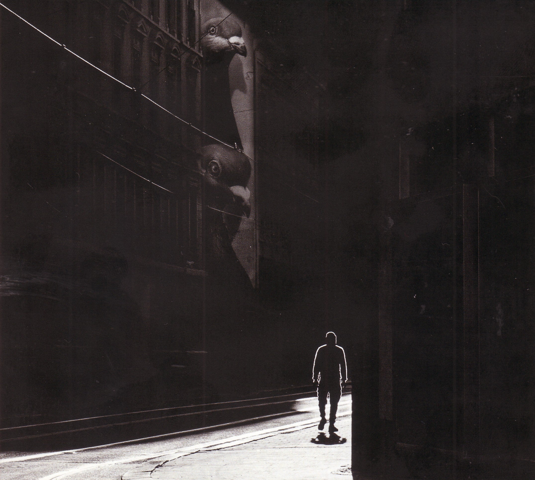 Bendik Hofseth & Jacob Young - The Maze (CD)