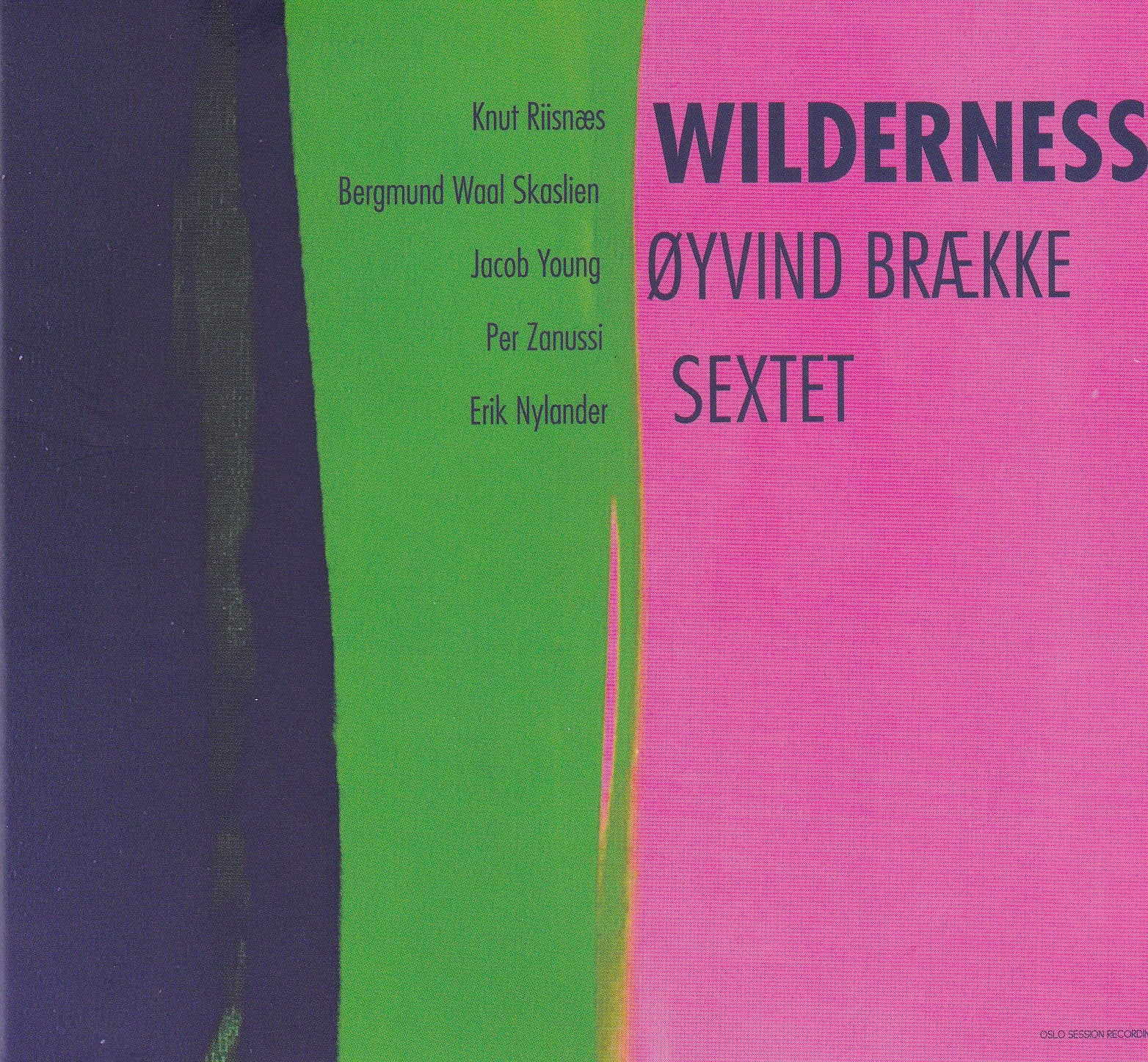Oyvind Braekke - Wilderness (CD)
