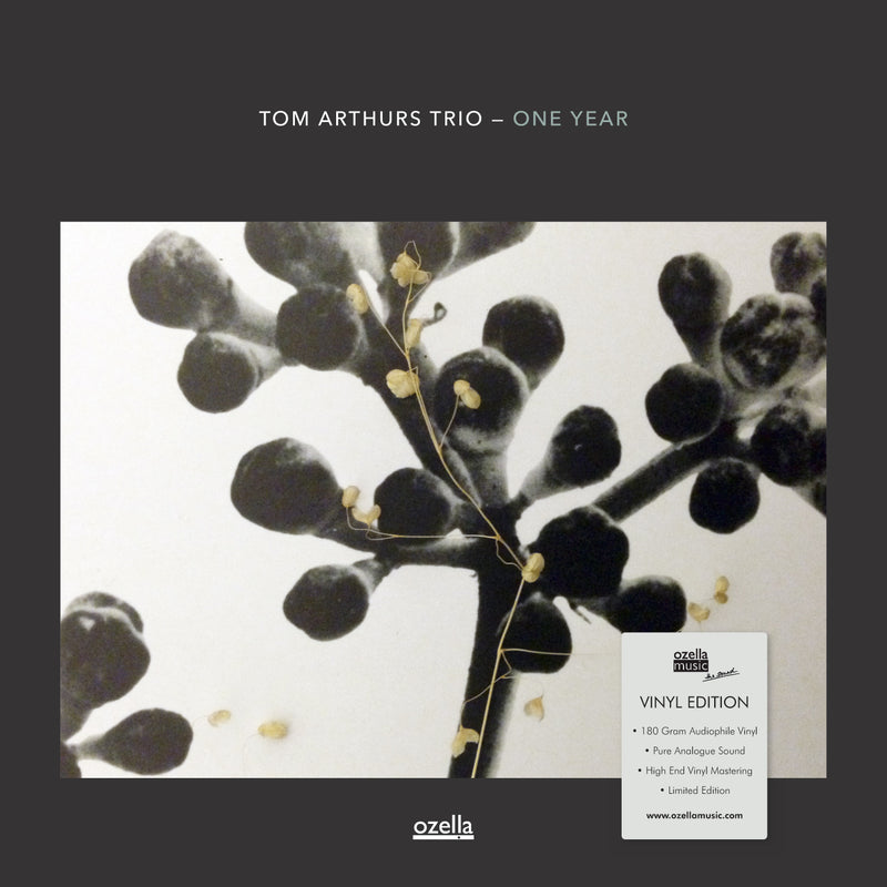 Tom Arthurs Trio - One Year (LP)