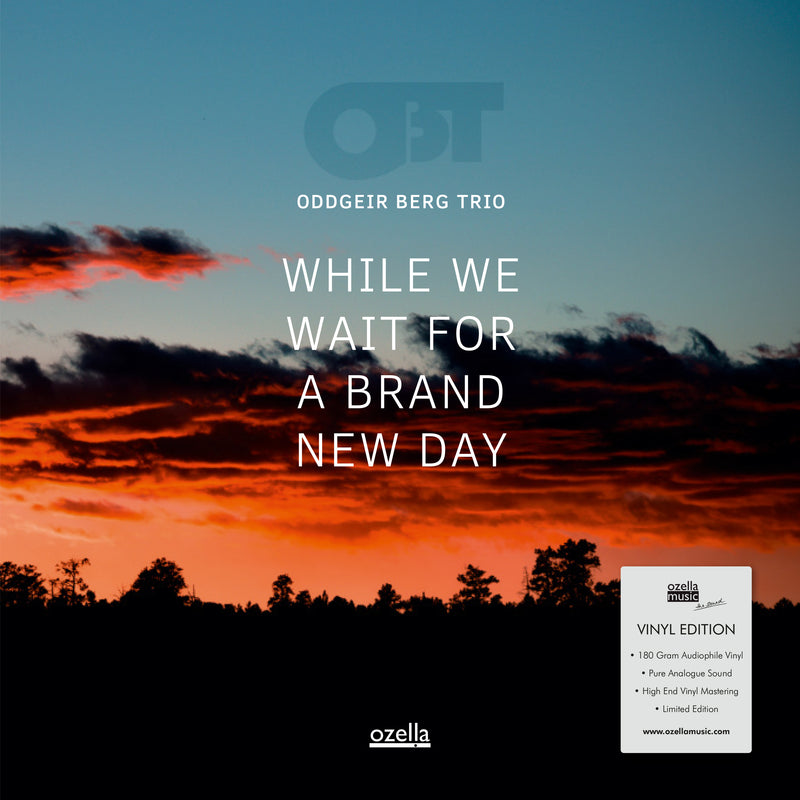 Oddgeir Berg Trio - While We Wait For A Brand New Day (LP)
