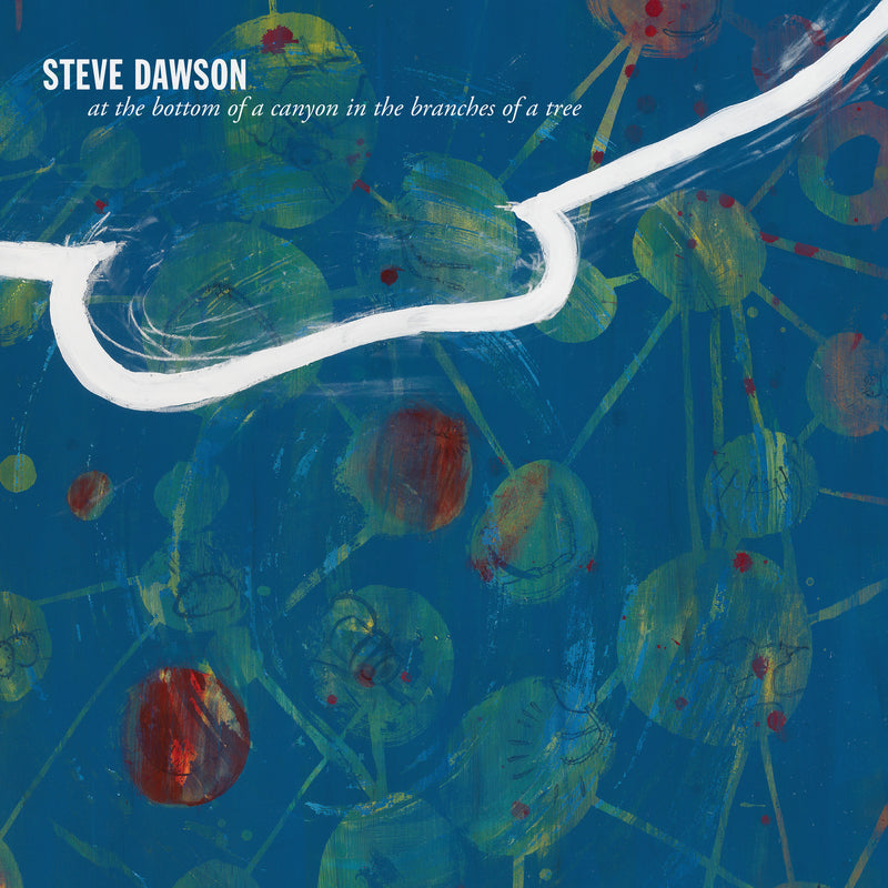 Steve Dawson - At The Bottom Of A Canyon In The Branches Of A Tree (LP)