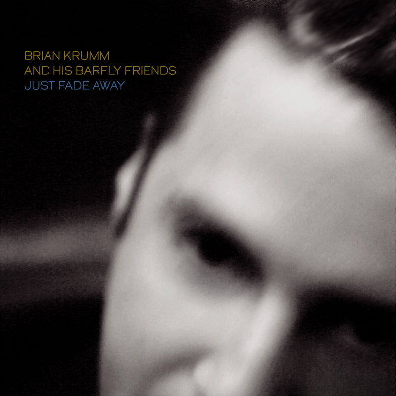 Brian Krumm & His Barfly Friends - Just Fade Away (LP)