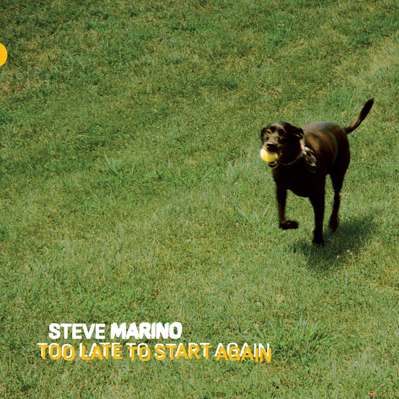 Steve Marino - Too Late To Start Again (LP)