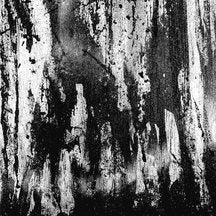 Wombripper - From the Depths of Flesh (CD)